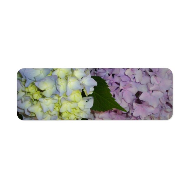 Etiqueta Hydrangeas azul púrpura rosa (Frente)