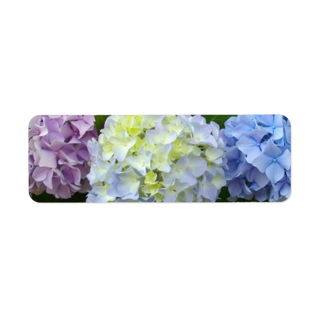Etiqueta Hydrangeas azul púrpura rosa (Frente)