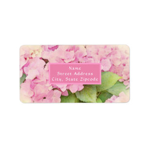 Etiqueta Hydrangeas rosa suave