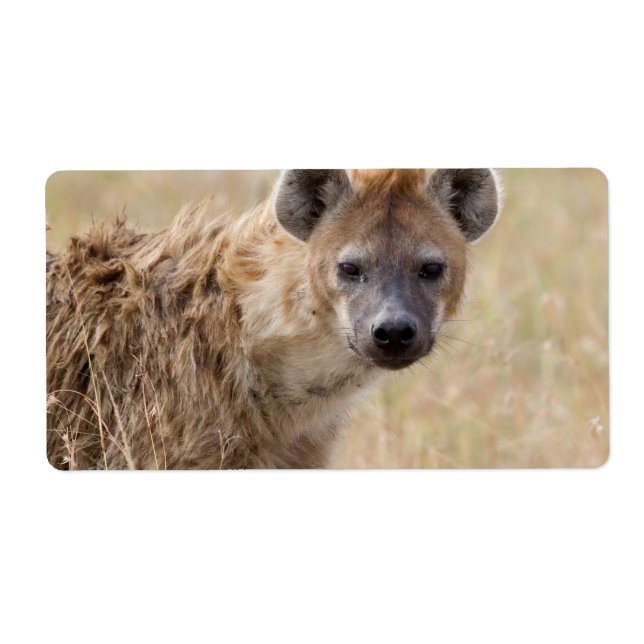Etiqueta Hyena (Frente)
