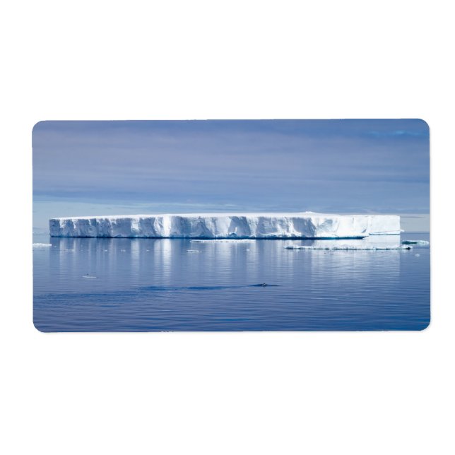 Etiqueta Iceberg flotante (Frente)