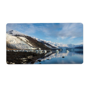 Etiqueta Icy College Fjord