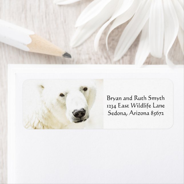 Etiqueta Icy Stare de un oso polar (In situ)