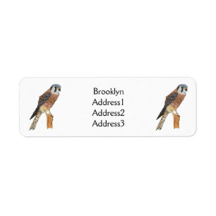 Etiqueta Ilustracion americano de aves de Kestrel