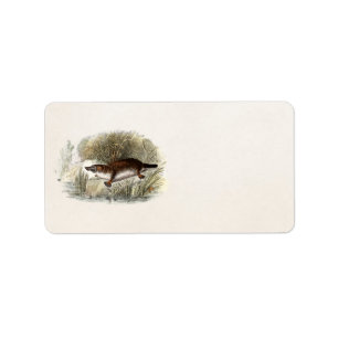Etiqueta Ilustracion de Bill Platypus del pato de los 1800s