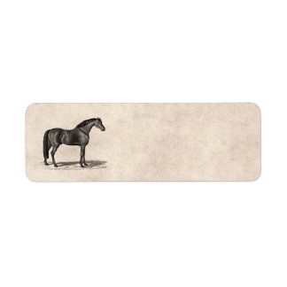 Etiqueta Ilustracion de caballos árabes de la época de 1800