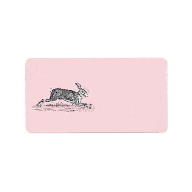 Etiqueta Ilustracion de conejo conejo de liebre veneciana - (Frente)