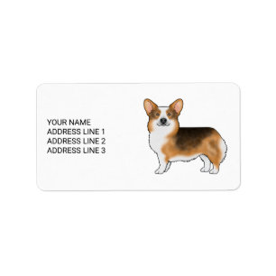 Etiqueta Ilustración de Corgi Galés de Pembroke Tricolor Ca