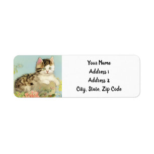 Etiqueta Ilustracion de gato vintage con flores rosas