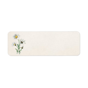 Etiqueta Ilustracion de la flor salvaje de las margaritas