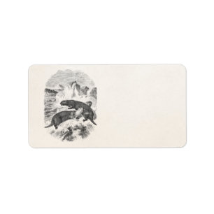Etiqueta Ilustracion de la nutria de los 1800s de las