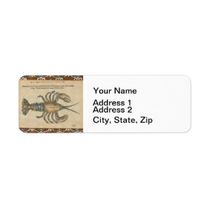 Etiqueta Ilustracion de langosta Antique Maine