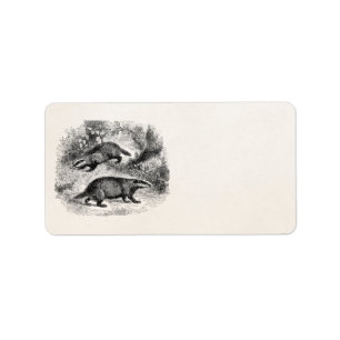 Etiqueta Ilustracion de los tejones de los 1800s del tejón