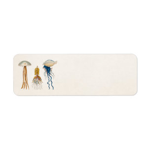 Etiqueta Ilustracion de medusas del siglo XIX - Pescado gel