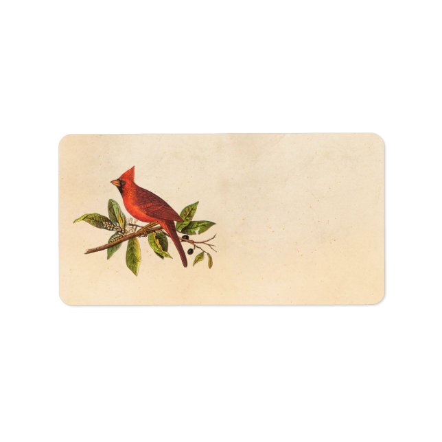 Etiqueta Ilustracion de pájaro de la canción del cardenal v (Frente)