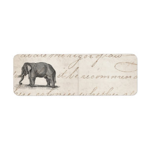 Etiqueta Ilustracion del elefante de los 1800s del vintage