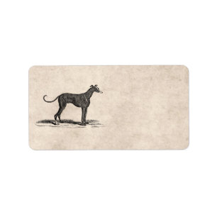 Etiqueta Ilustracion del perro del galgo de los 1800s del