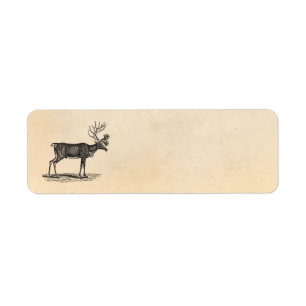 Etiqueta Ilustracion del reno del vintage - navidad 1800's