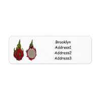 Ilustracion personalizado de fruta dragón