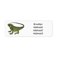 Ilustracion personalizado de Iguana