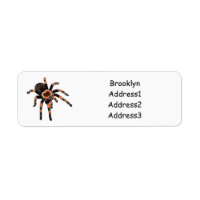 Ilustracion personalizado de Tarantula
