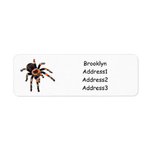 Etiqueta Ilustracion personalizado de Tarantula