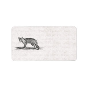 Etiqueta Ilustracion Vintage Foxy Fox - Foxes de 1800