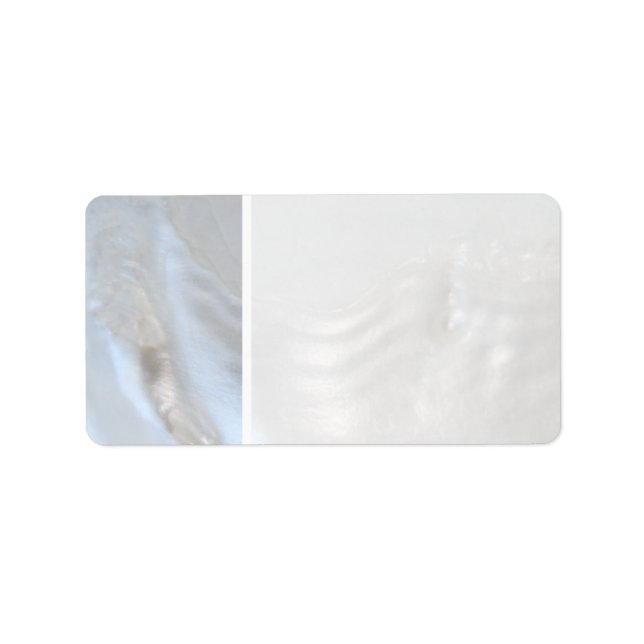 Etiqueta Imagen de un Shell. (Frente)