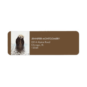 Etiqueta Imagen de vida silvestre Cute Otter