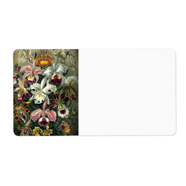 Etiqueta Impresión botánica orquídea (Frente)