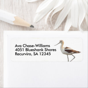 Etiqueta Impresionante ave aguacate estadounidense recorrie