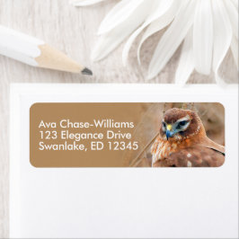 Etiqueta Impresionante Halcón Harrier Norte en las marismas