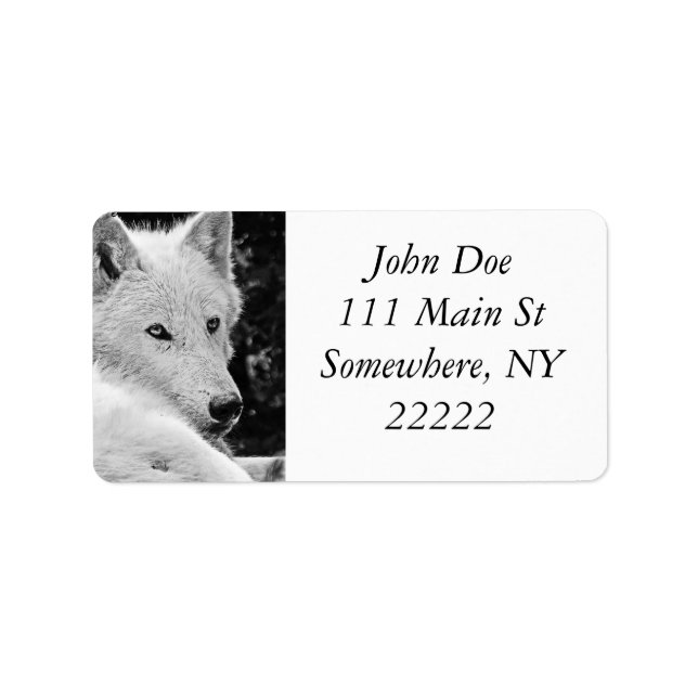 Etiqueta Impresionante Lobo Blanco (Frente)