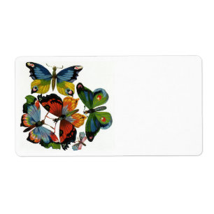 Etiqueta Insectos o insectos, mariposas hermosas del