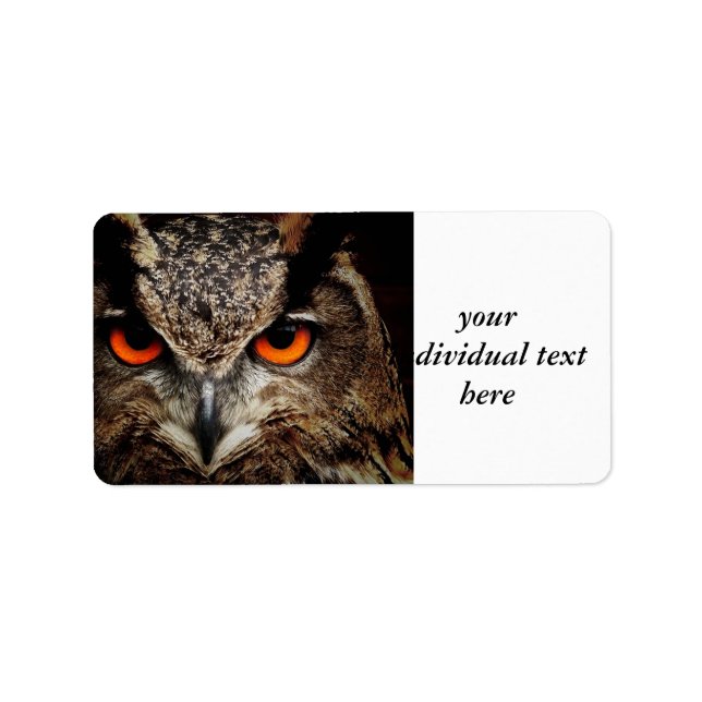 Etiqueta investigadores que buscan búho (Frente)