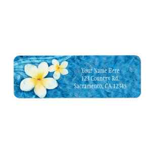 Etiqueta Invitación de verano azul de flor de plumeria trop