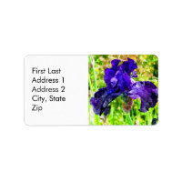Iris