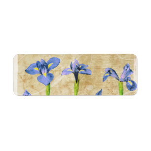Etiqueta Iris antiguos - personalizar del fondo del iris