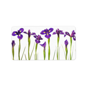 Etiqueta Iris púrpuras - plantilla modificada para