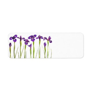 Etiqueta Iris púrpuras - plantilla modificada para