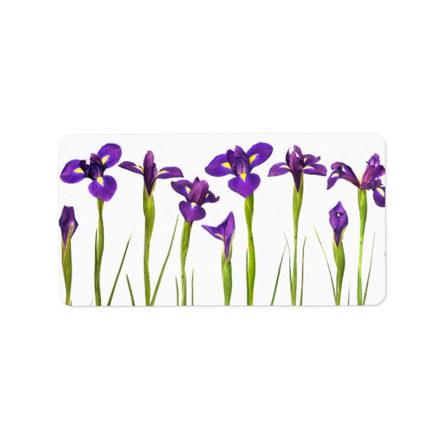 Etiqueta Irises púrpura - Plantilla personalizada de flor d (Frente)