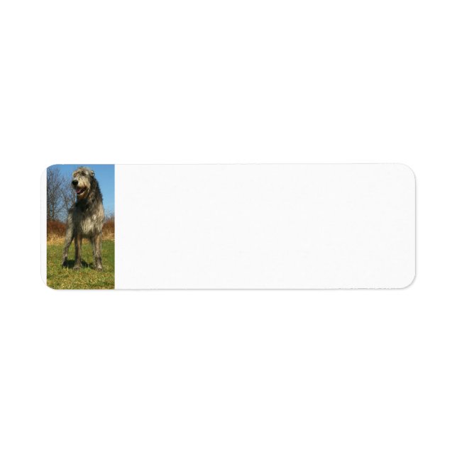 Etiqueta irlandés-wolfhound-full (Frente)