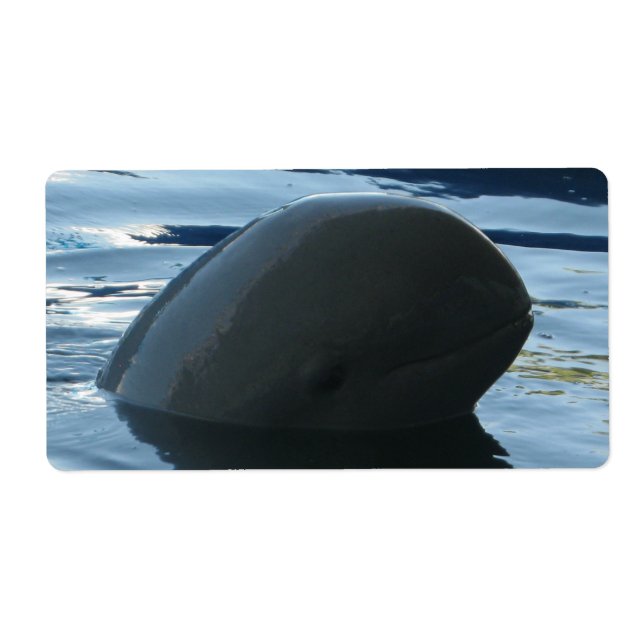 Etiqueta Irrawaddy Dolphin Peek-A-Boo (Frente)
