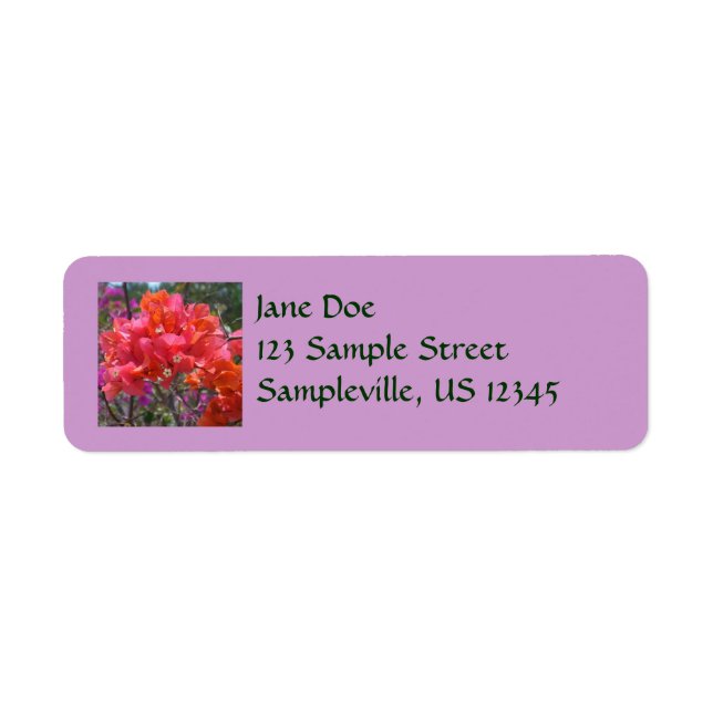 Etiqueta Isla Tropical Rosa Bougainvillea Floral (Frente)