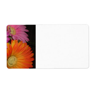 Etiqueta Jardín de la margarita del Gerbera