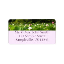 Jardín de verano de Lotus Flowers