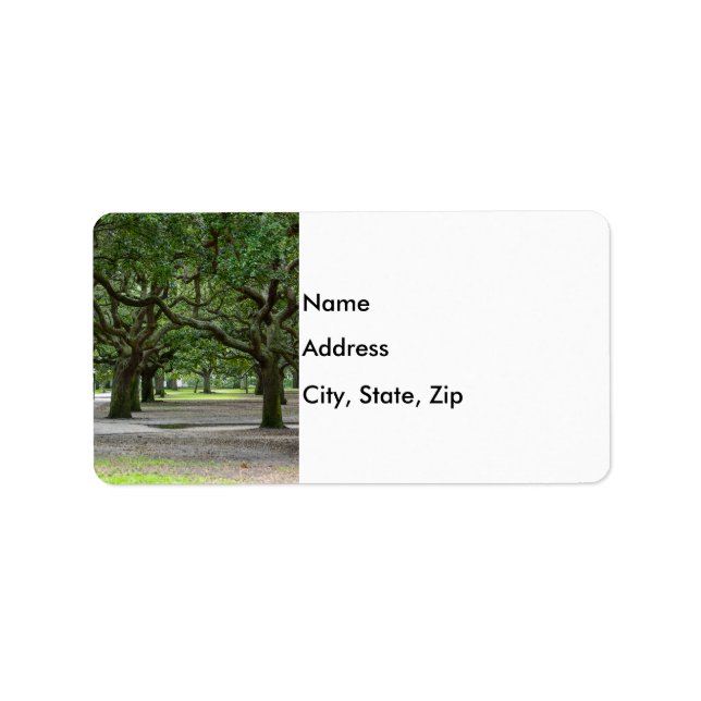 Etiqueta Jardines White Point Painterly (Frente)