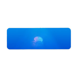 Etiqueta jellyfish-698521 MAR CREATURES ANIMALES OCEAN AZUL
