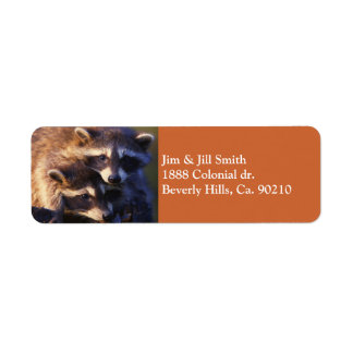 Etiqueta Juntos por los mapaches