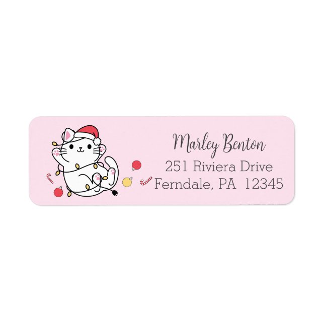 Etiqueta Kawaii Navidades sobre el gato Santa (Frente)